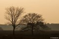 2018-02-08 Regte Heide